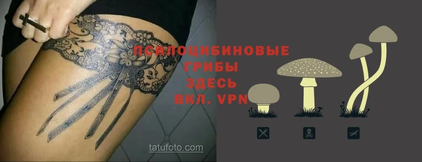 дурь Алексин