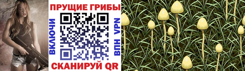 Галлюциногенные грибы GOLDEN TEACHER  Малоархангельск 